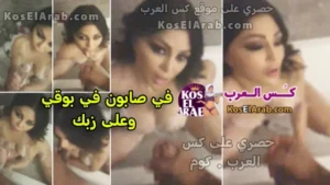 سكس هيفاء وهبي بتمص زب وبتستحمى وبتلعب في كسها وتدعك زبه بصابون حصريا كس العرب